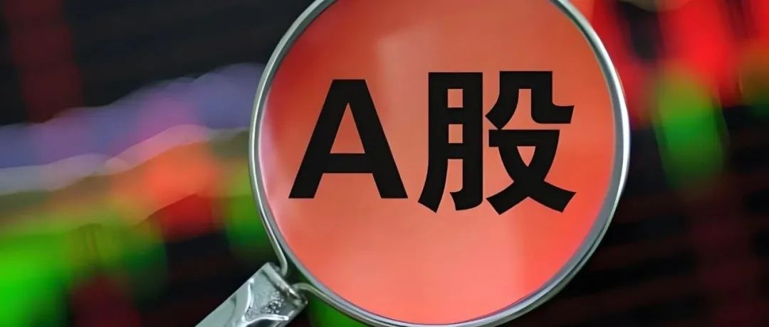 ▲机构出动“淘金”，宁波有公司一天接待超百家