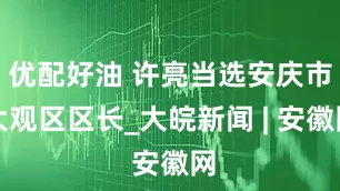 优配好油 许亮当选安庆市大观区区长_大皖新闻 | 安徽网
