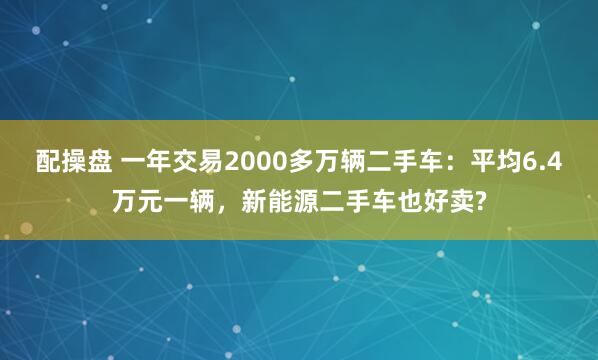 配操盘 一年交易2000多万辆二手车：平均6.4万元一辆，新能源二手车也好卖?